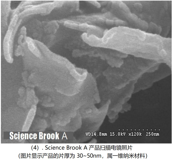  Science Brook A 产品扫描电镜照片