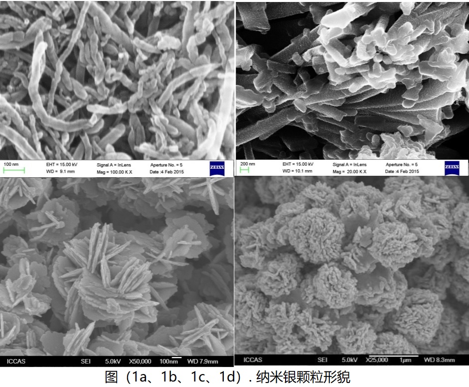 纳米银颗粒形貌